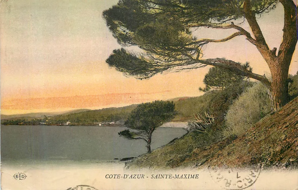 Côte-d'Azur - Sainte-Maxime — paisagem costeira com pinheiro em primeiro plano — editor E.D. - Frente
