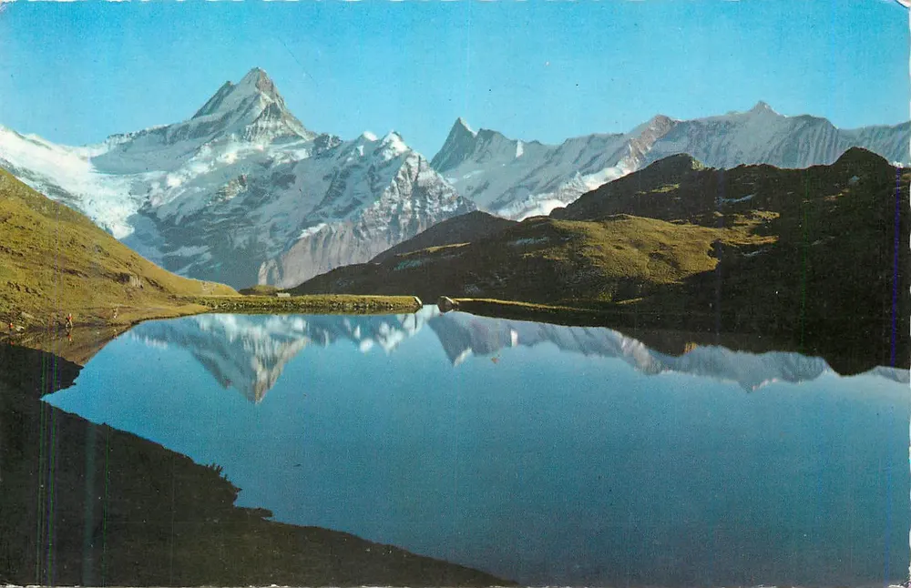 Grindelwald - Bachalpsee (2264 m) — com Schreck- e Finsteraarhorn — Photoglob Wehrli AG Zürich, n° 2208 - Frente