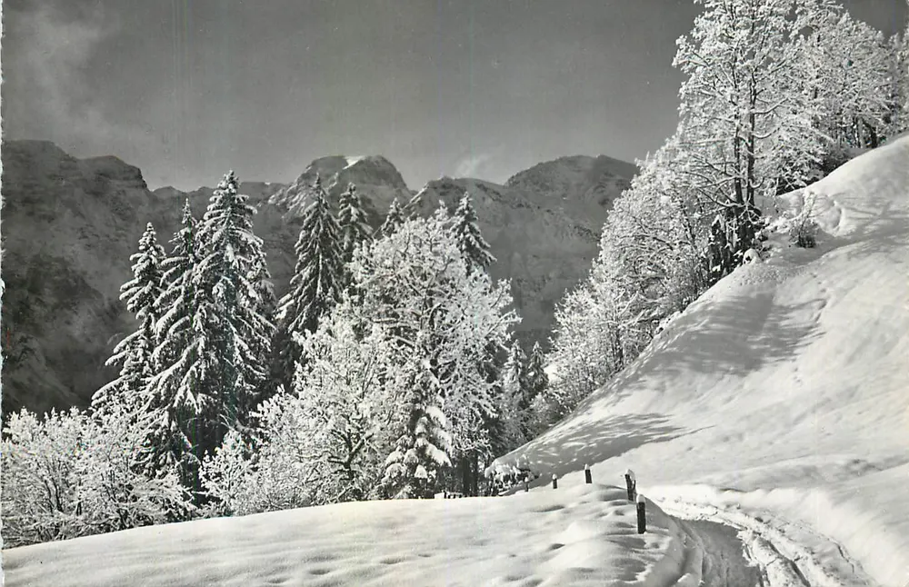 Braunwald 1300 m — Weg zum Tödi 3623 m und zum Gemsfayren 2976 m — Fred Barbier, 1200/8 - Vorderseite