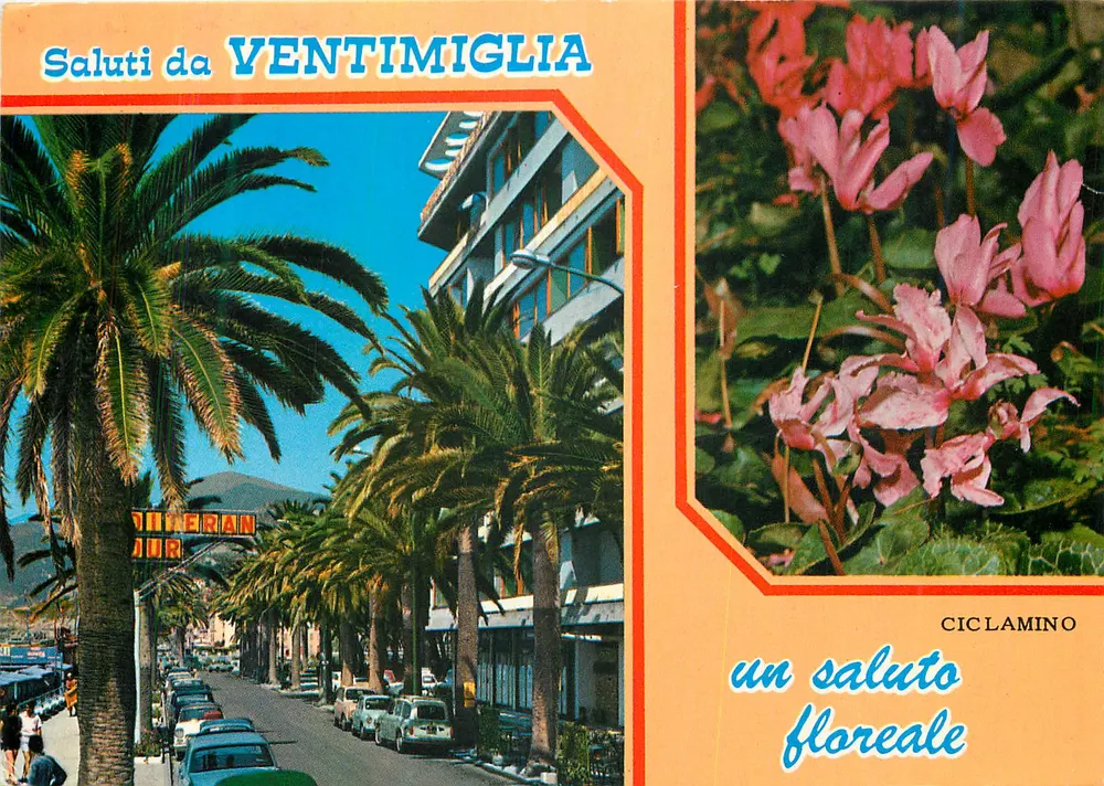 Ventimiglia — vista de rua com palmeiras e ciclamenos — editor Ciclamino - Frente