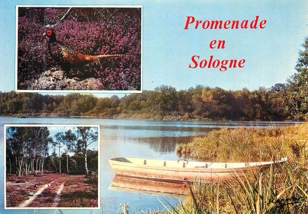 Passeio na Sologne — Sologne — HARMOR-LICNEAU, Editor - Frente