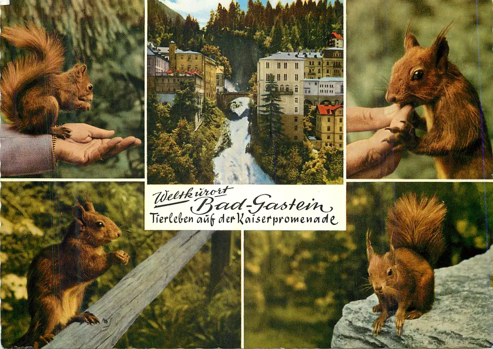 Bad Gastein — Tierleben auf der Kaiserpromenade — Patrimônio Mundial - Frente