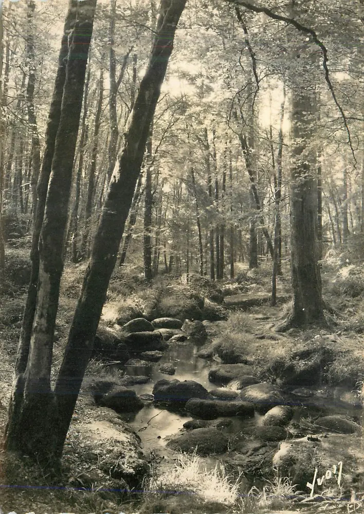 Huelgoat (Finistère) — Ruisseau dans la forêt — Éditions d'Art Yvon, Paris - Recto