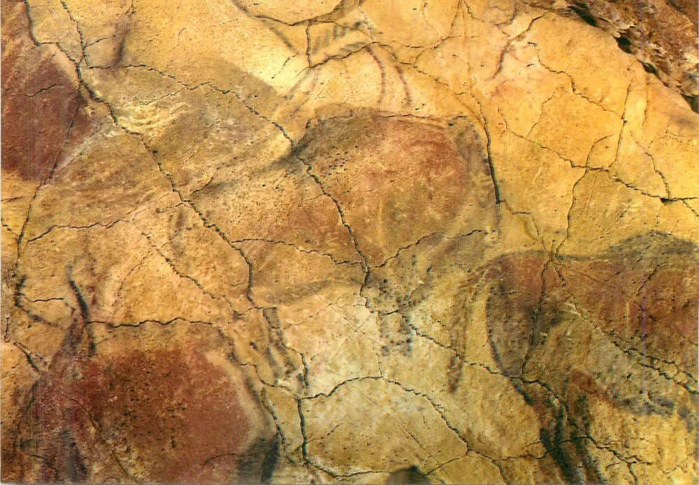 Cuevas de Altamira — Conjunto del techo — Joaquin Bedia Cano - Editor Santander - Recto