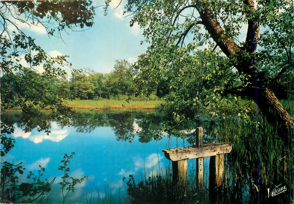 L'étang à la Vanne — Em Sologne — Éditions Valdîre - Frente