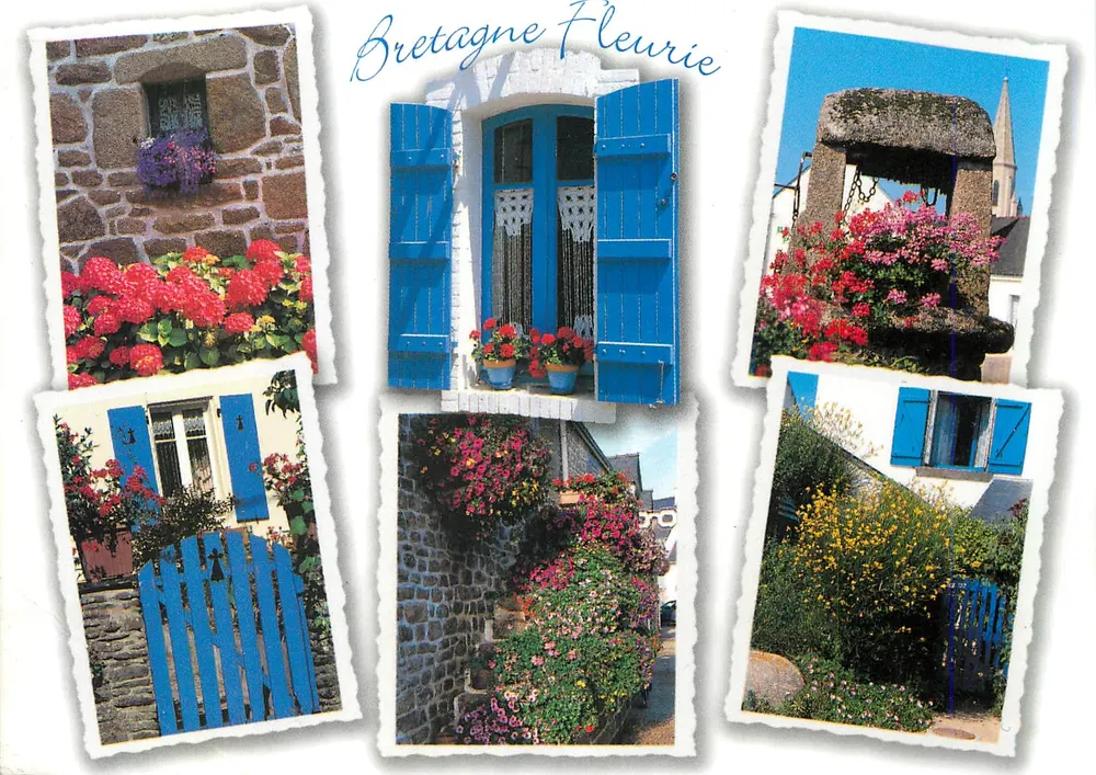 Bretanha Fleurida — Edições Jo's Le Doyard, n° 9911805322 - Frente