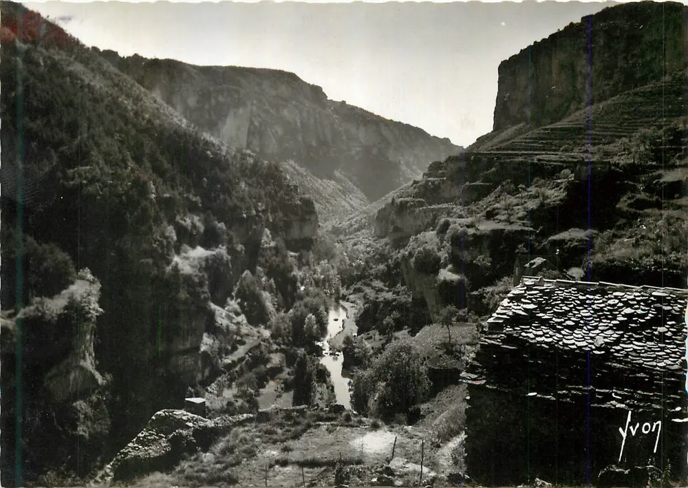 Canon de la Jonte — Blick vom Belvedere der Terrassen — Yvon - Vorderseite