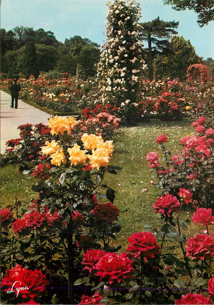 Parque de Bagatelle — A Rosaleda — Éditions Lyna - Frente