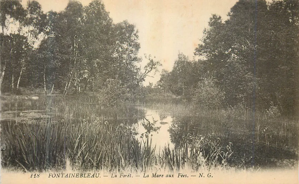 Fontainebleau — La Forêt — La Mare aux Fées — N.G. - Recto