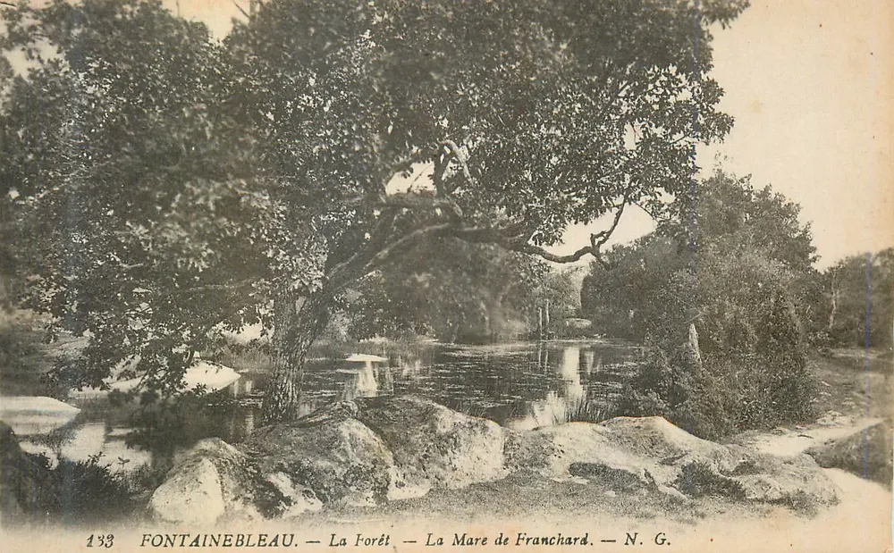 Fontainebleau — La Forêt — La Mare de Franchard — N.G. — N° 133 - Recto