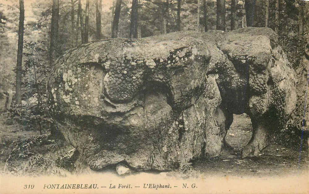 Fontainebleau — A Floresta — O Elefante — N.G. — N° 319 - Frente