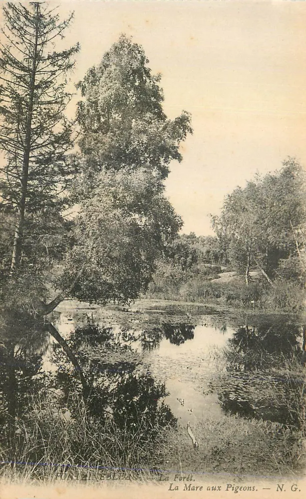 Fortizineblanc — La Mare aux Pigeons — N. G. - Recto