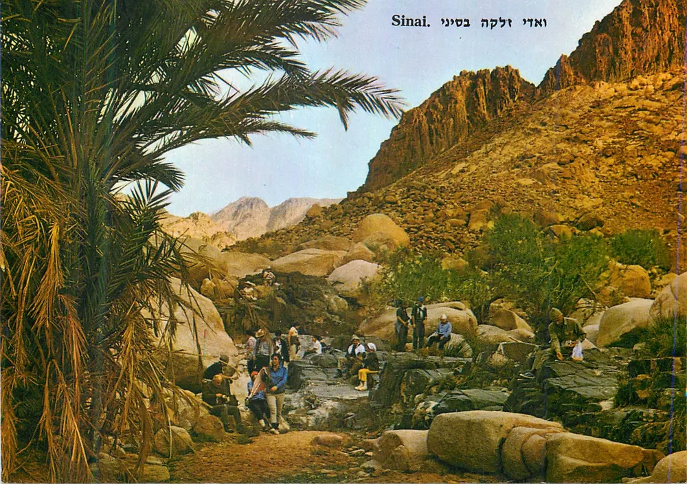 Wadi Zalka — Sinai — Palphot Ltd. - Vorderseite