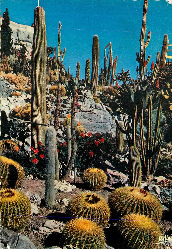 Jardim exótico — A Costa Azul — Éditions Rella - Frente