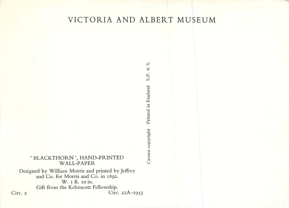 Blackthorn — papier peint à l'encre — Victoria and Albert Museum - Verso