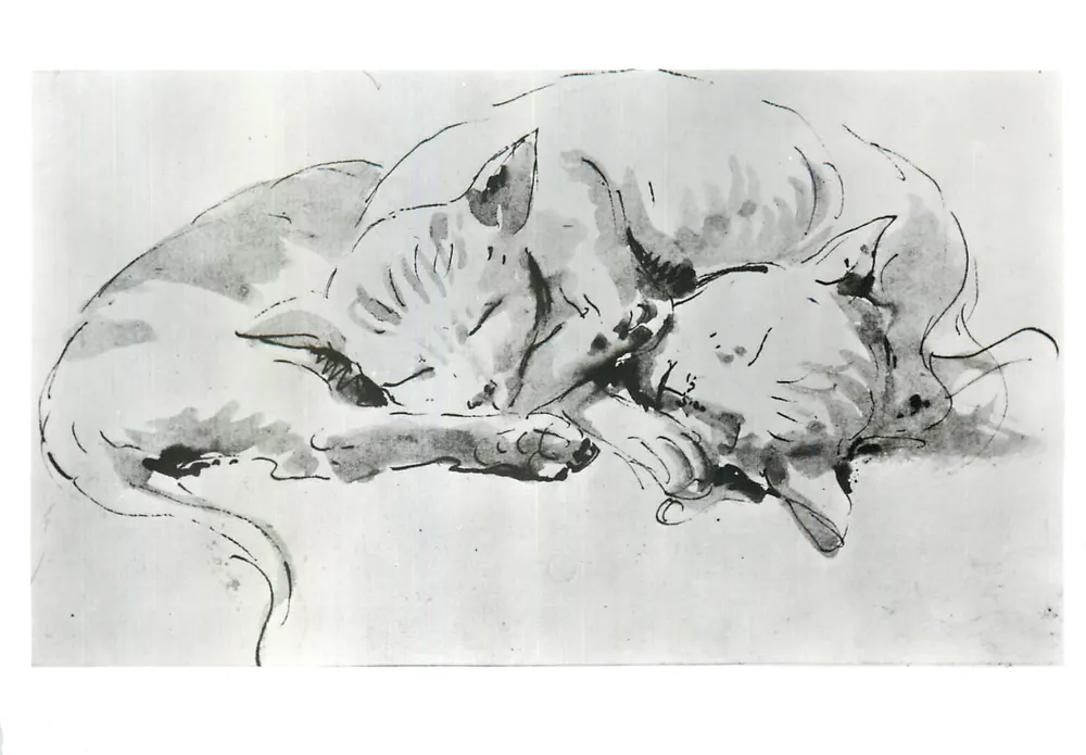 Deux chats — dessin à l'encre et à l'eau-forte — Giovanni Battista Tiepolo (1696-1770) - Recto