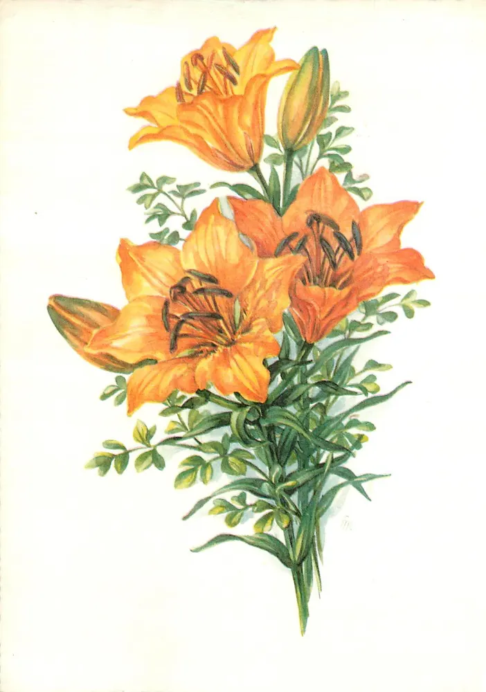 Bouquet de lys orange — ilustração — Au Pays du Tourisme, Loire-FOREZ - Frente