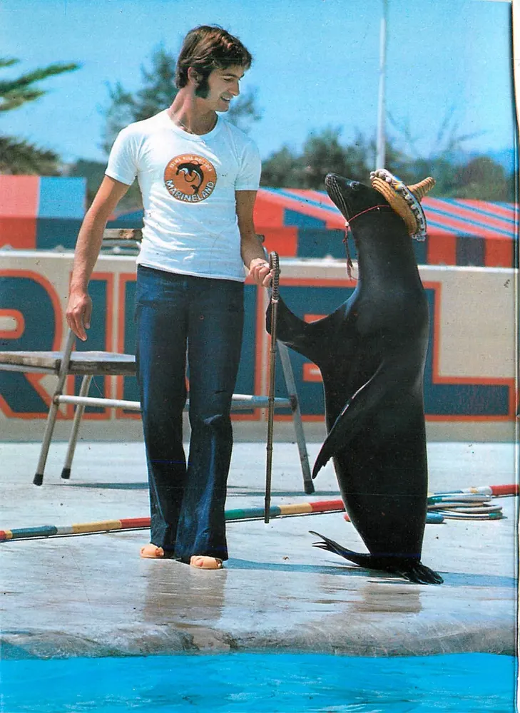 Spectacle de manchot — Marineland — éditeur Marineland S.A. - Recto