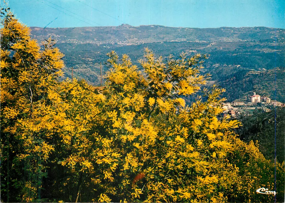 Auribeau (Alpes-Mar.) — Vista geral — Laurier d'Or Qualité Création, n° 36.000 - Frente