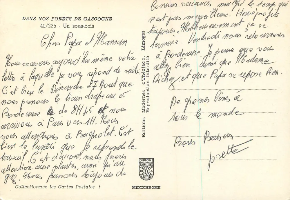 Floresta de Gascogne — Um sub-bosque — IRIS - Verso