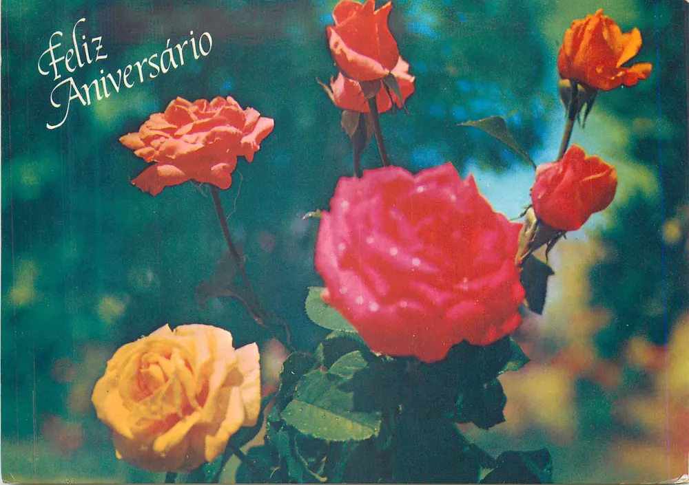Rosas coloridas — Parabéns de aniversário — Francisco Mota, Lda. n°3310 - Frente