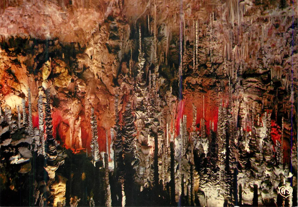 Grotte de l'Aven Armand — Gorges du Tarn — Société des Cartes Postales APA-POUX - Vorderseite