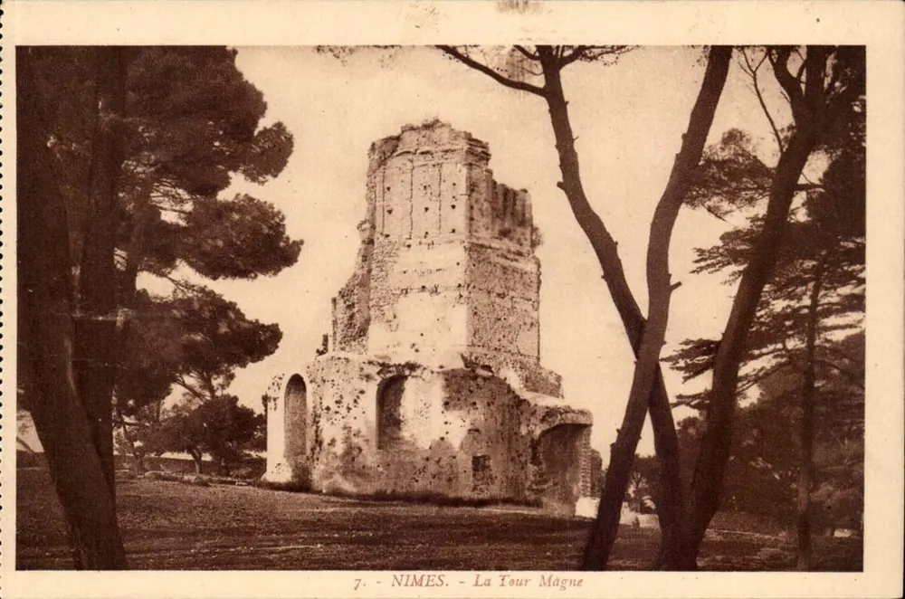 Nîmes - A Torre Magne — Ruínas cercadas por árvores — Phototypie Cambier, Mâcon, n°7 - Frente