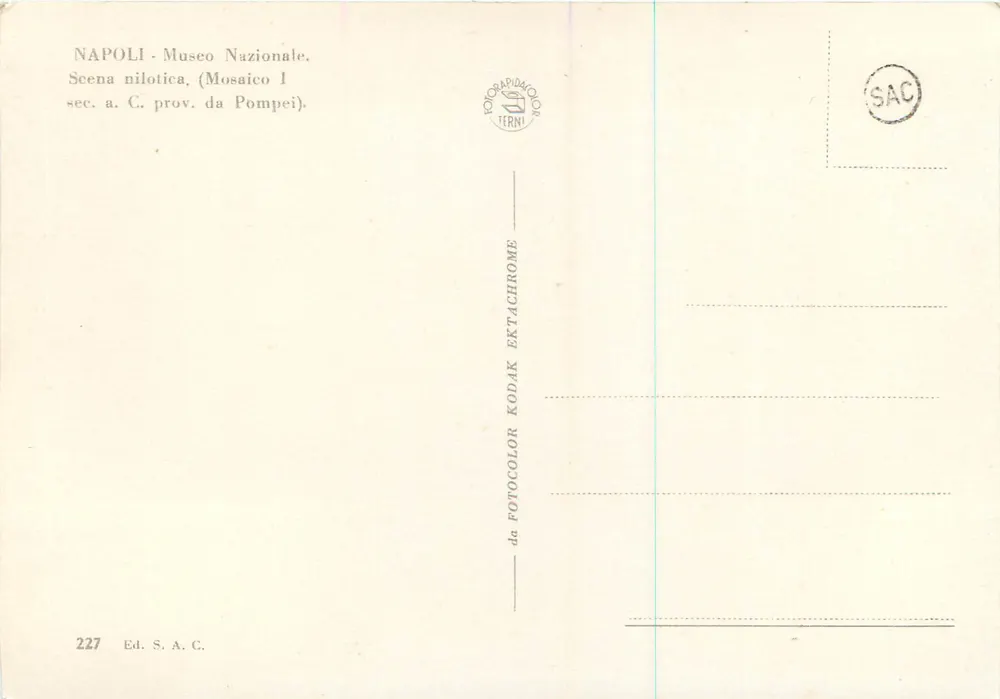 Scène nilotique — Mosaïque Ie siècle après J.-C. provenant de Pompéi — Éd. S.A.C. - Verso