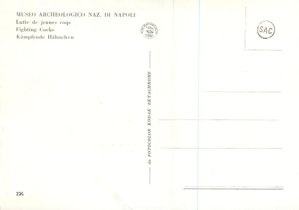Kampf junger Hähne — Nationalarchäologisches Museum Neapel — Nr. 226 - Rückseite
