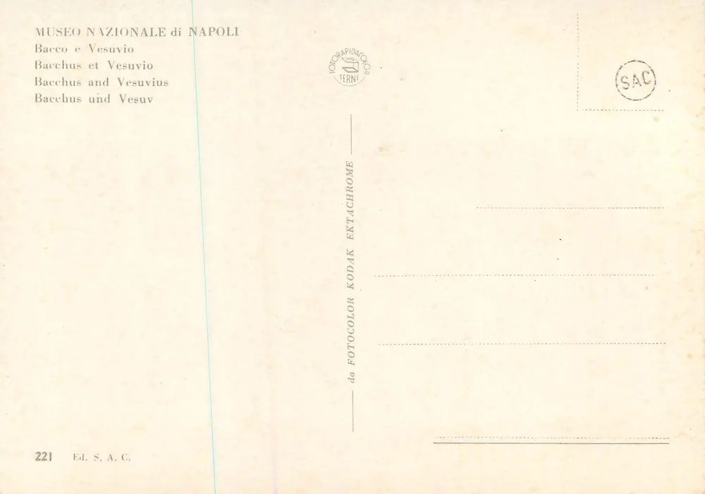 Bacchus et Vesuvius — Musée National de Naples — n° 221 - Verso
