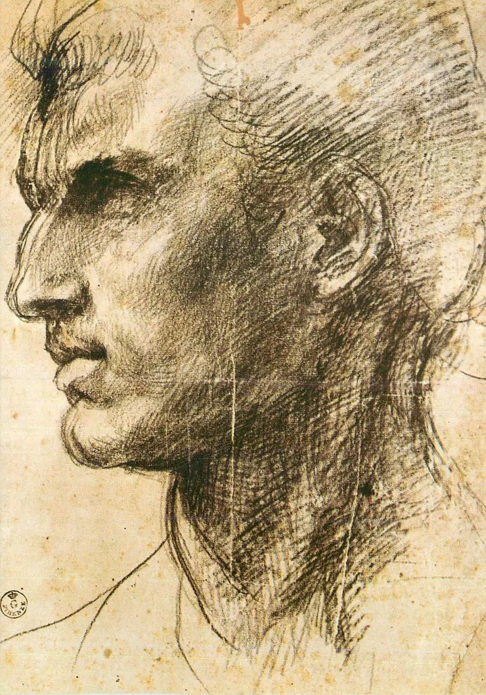 Männliches Gesicht — Zeichnung von Andrea del Sarto — Edition Giusti di S. Becocci, Florenz - Vorderseite