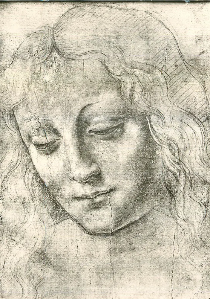 Tête de femme — croquis attribué à Léonard de Vinci — Musée Bonnat, Bayonne - Recto