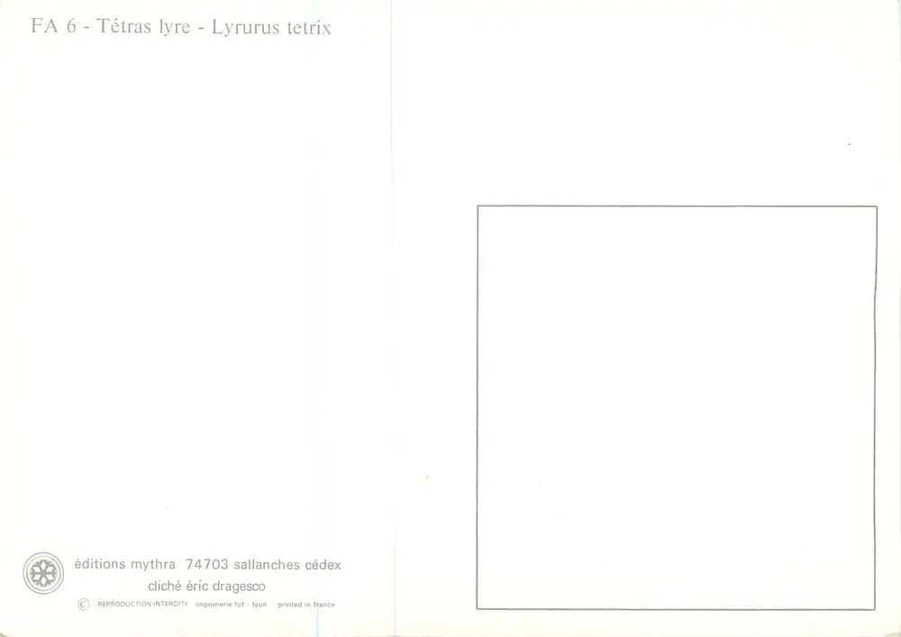 Tétras lyre - Lyrurus tetrix — edições Mythra, série FA 6 - Verso
