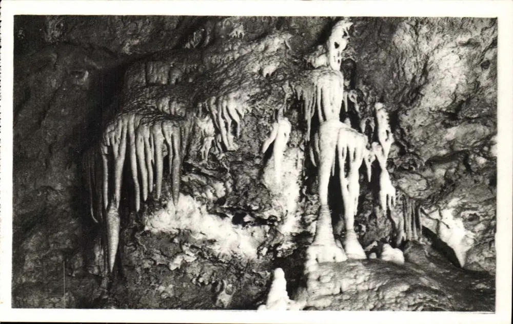 Die Höhlen von Saint-Cézaire — Die Orgeln und das Skelett — Edit. d'Art Munier, Montluçon - Vorderseite