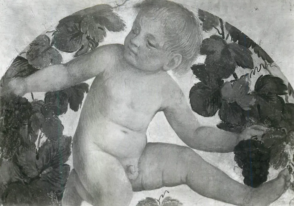 Cherubin entouré de grappes de raisin — fresque — éditeur inconnu, n° de série non lisible - Recto