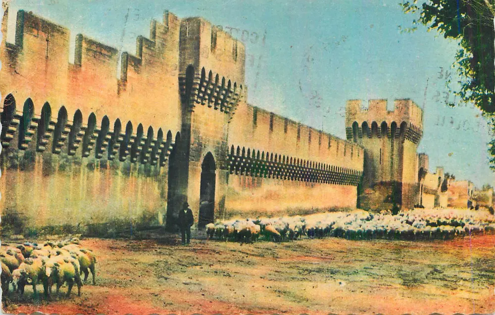 Muralhas da cidade — Porta e rebanho de ovelhas — Editor desconhecido - Frente