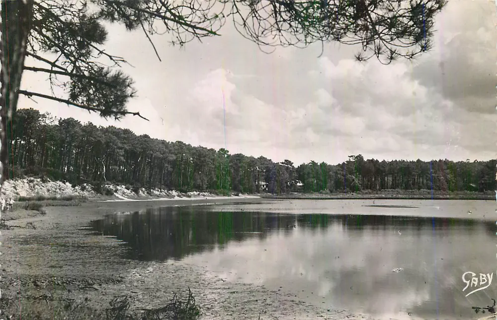 See zwischen Tannen — SABY - Vorderseite