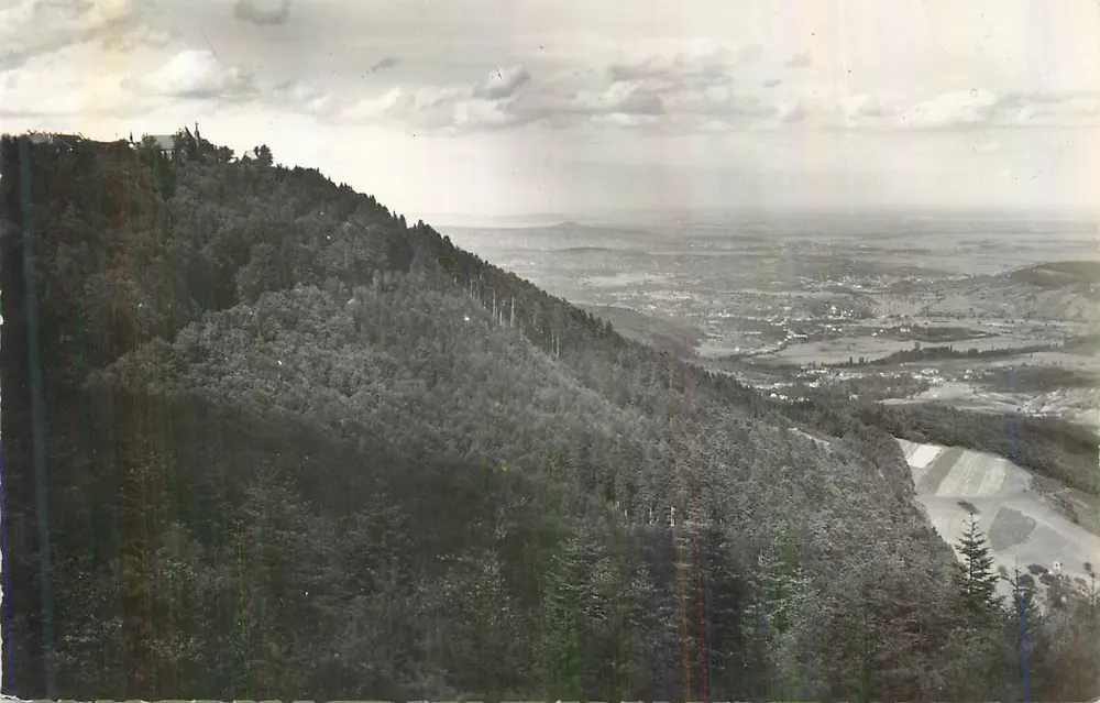 Vue panoramique depuis un sommet boisé — éditeur et n° de série non lisibles - Recto