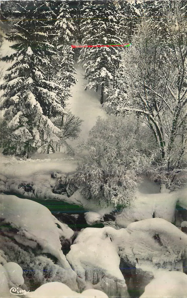 Forêt enneigée — rivière gelée — éditeur Cim, n° de série non lisible - Recto