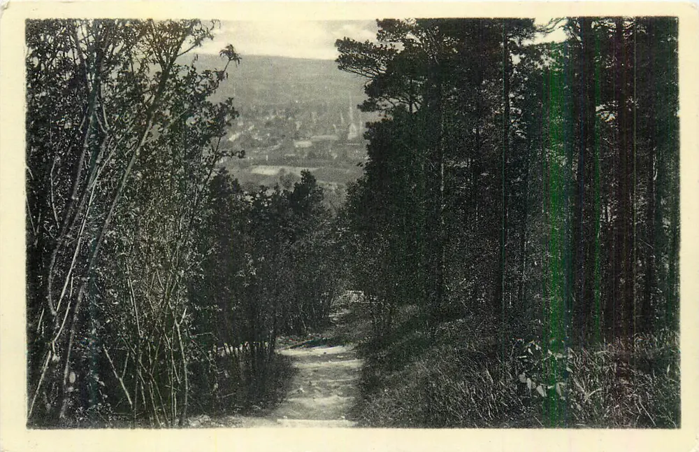 Ansicht eines Dorfes aus dem Wald — Verlag nicht sichtbar - Vorderseite