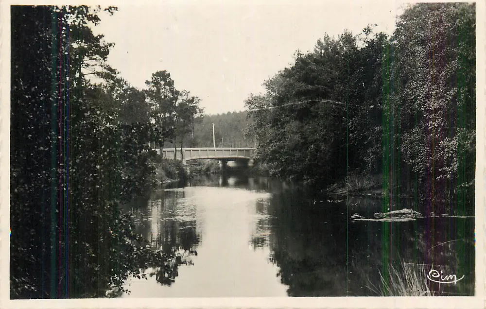 Pont sur un cours d'eau — Forêt dense — Éditeur 'Oing' (signature visible) - Recto
