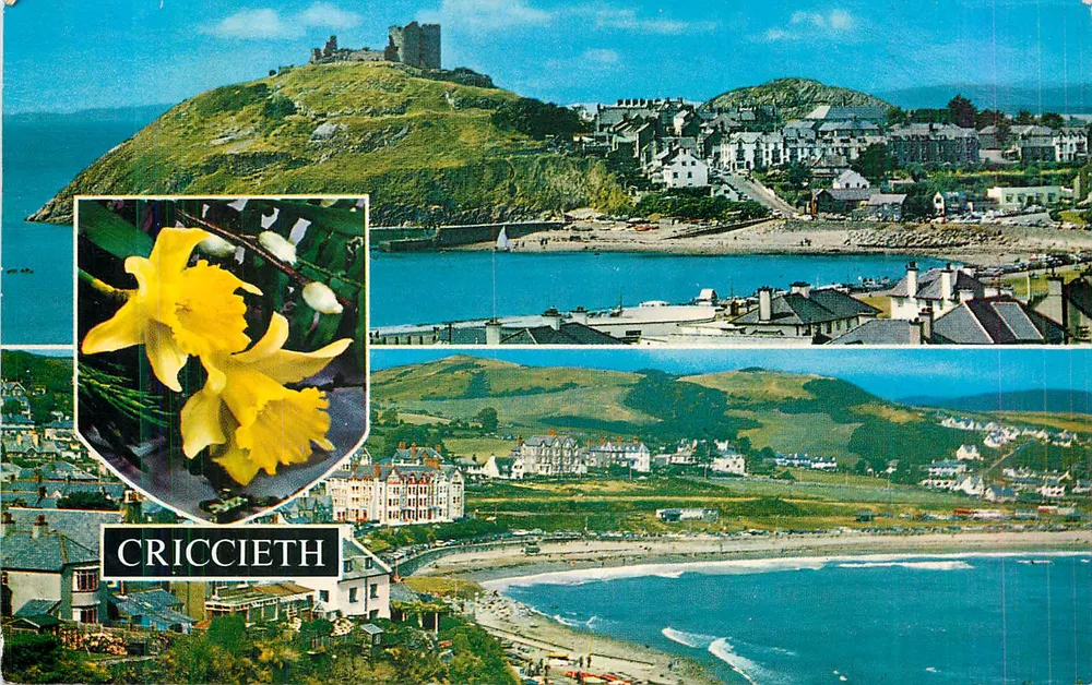 Criccieth — panoramic view with castle and daffodil — publisher not visible - Front