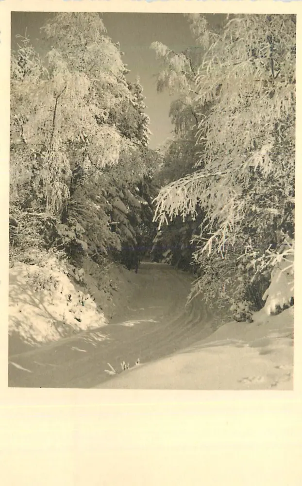 Estrada nevada entre florestas — vista invernal — editor não identificado - Frente