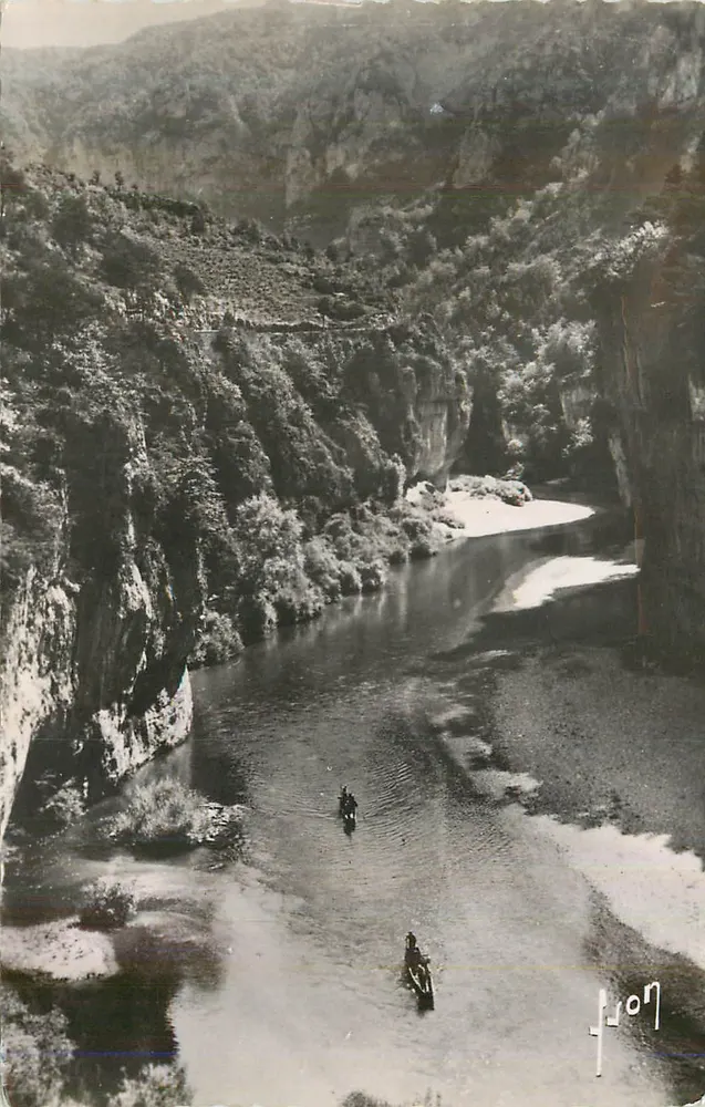 Canal du Rhône — vue panoramique — éditeur Lizon n° 207 - Recto