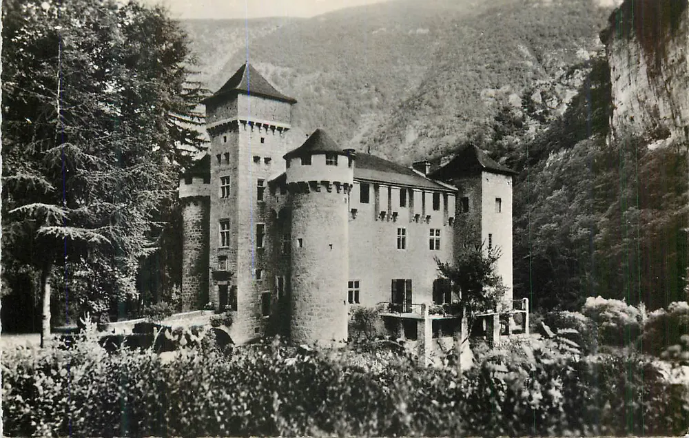 Castelo da Torre — vista panorâmica — editor não visível - Frente