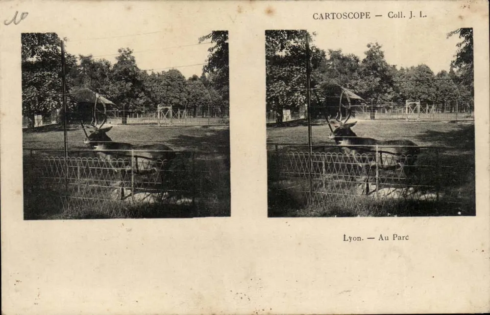 Lyons — No Parque — CARTOSCOPE — Coleção J. L. - Frente