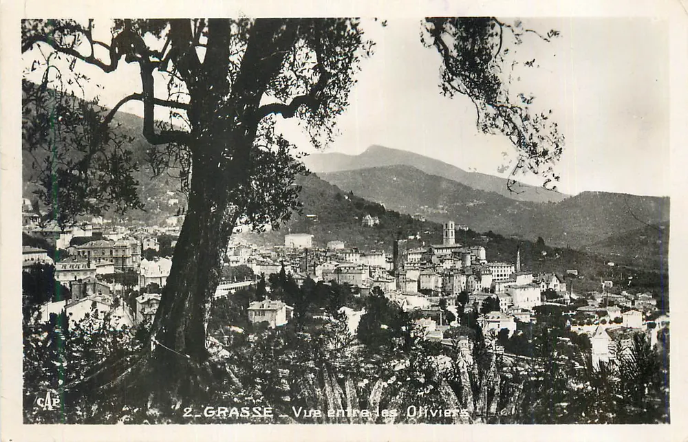 Grasse — Uitzicht tussen de Oliven — C.A.P. n°2 - Voorkant