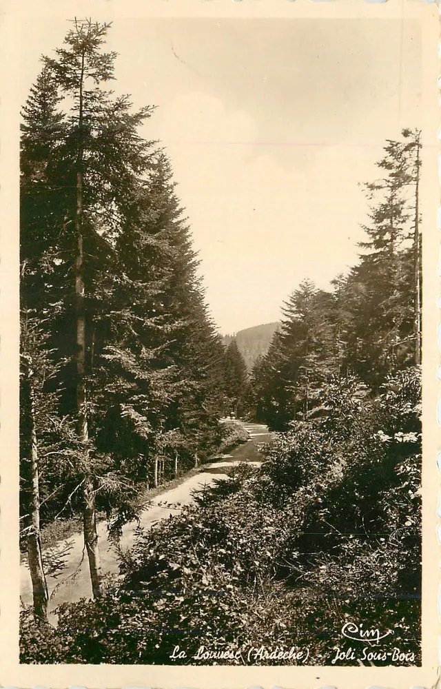 La Bourvèse (Ardeche) — Lindo Sub-Bosque — Oim - Frente