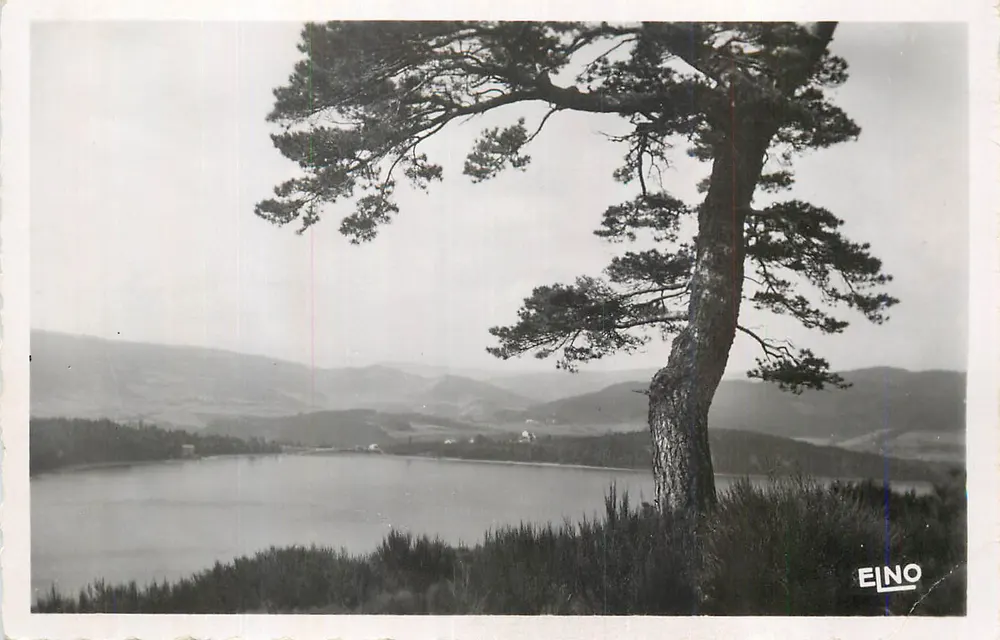 Einsamer Baum am See — Berge im Hintergrund — EINO - Vorderseite