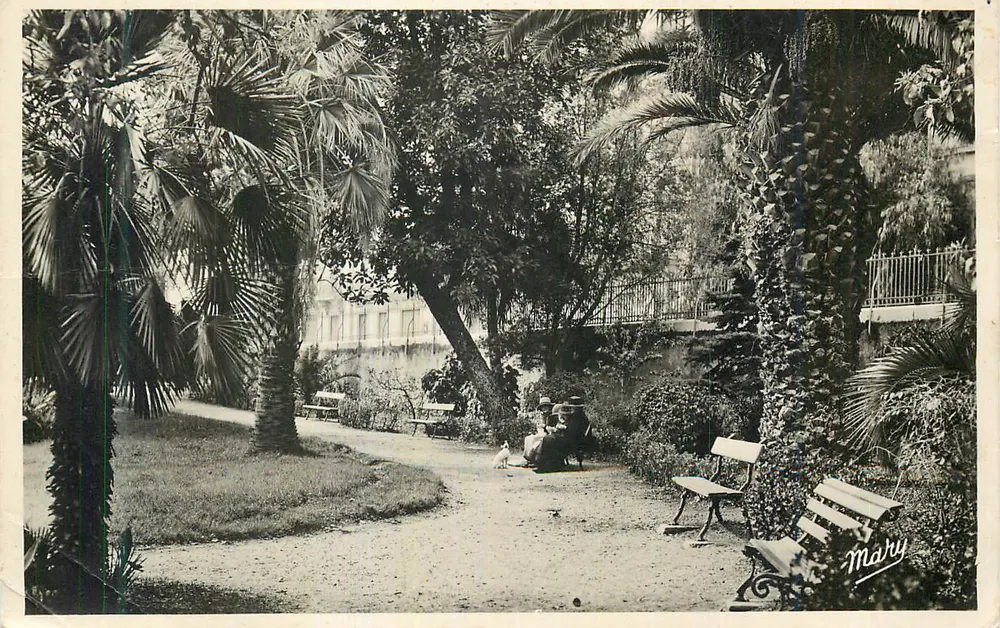 Jardim tropical — view com palmeiras e bancos — editor Mary - Frente